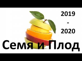8. Плод (6 класс) - биология, подготовка к ЕГЭ и ОГЭ 2020