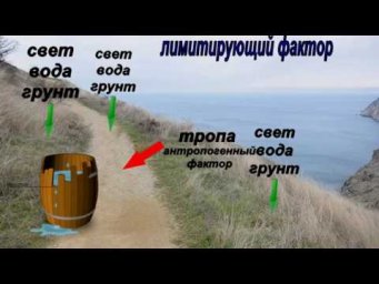 Школьная био: Экология(1 часть)