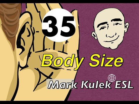 Body Size - conversation, Q&A, reading, shadowing | Mark Kulek - ESL