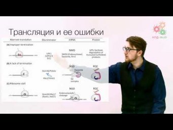 Реализация геномной информации. Трансляция. Регуляция и контроль качества. Часть 2 (без музыки)