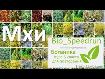17. Мхи (Speedrun ботаника 6 класс, ЕГЭ, ОГЭ 2021)