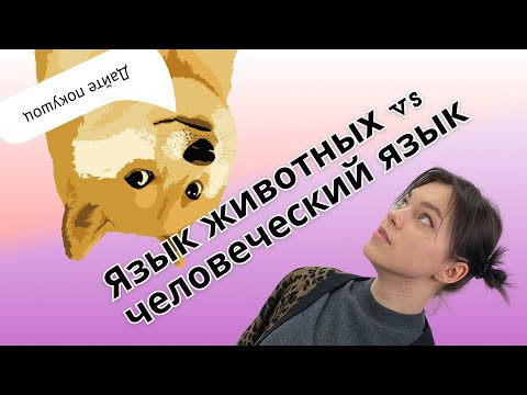 Три отличия человеческого языка от языка животных Три отличия человеческого языка от языка животных