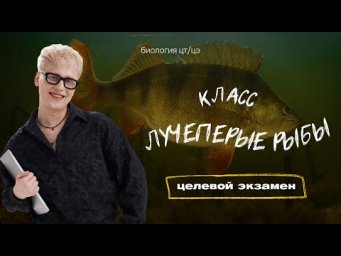 КЛАСС ЛУЧЕПЕРЫЕ РЫБЫ. РЕЧНОЙ ОКУНЬ | Целевой экзамен
