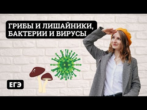 Грибы и Лишайники, Бактерии и Вирусы
