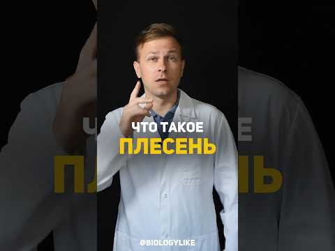 Что такое плесень?! 