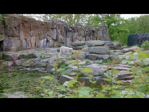 Отпуск в Берлине. День 1: Berliner Zoo/Берлинский зоопарк Отпуск в Берлине. День 1: Berliner Zoo/Берлинский зоопарк
