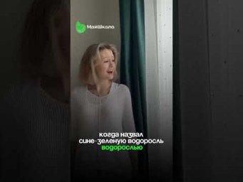 Сине-зеленая водоросль - это бактерия, запоминаем #юмор #биология #егэ2025