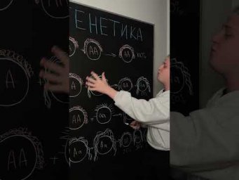 Какие волосы будут у твоих детей | Биология с Яном