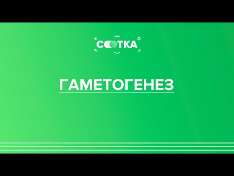 &laquo;ГАМЕТОГЕНЕЗ&raquo; | ЕГЭ БИОЛОГИЯ 2020 | Онлайн-школа СОТКА