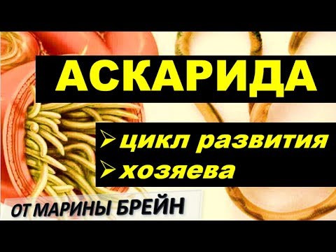 Аскарида |  ЕГЭ, ОГЭ