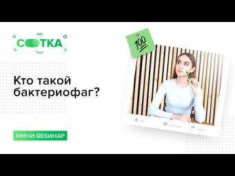 Кто такой бактериофаг? | БИОЛОГИЯ ЕГЭ | СОТКА