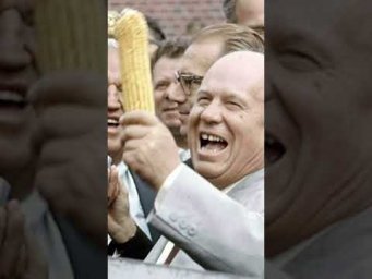 Веселый Никита Сергеевич 