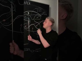 Рефлекторная дуга | Биология с Яном