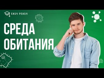 Среда обитания | Илья Кац | Онлайн-школа EASY PEASY | ОГЭ биология