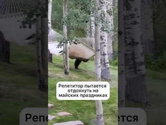 А у вас тоже так?