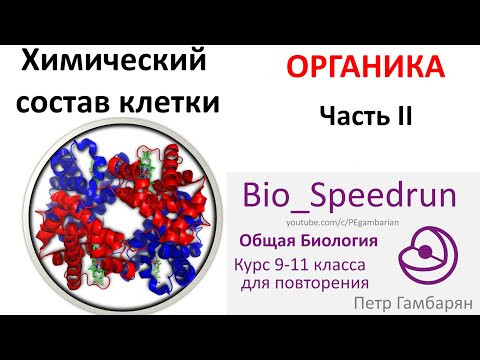 2. Химия клетки часть II (Speedrun общая биология 9-11 класс, ЕГЭ, ОГЭ 2021)