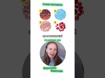много полезного в тгк @webium_bio #биология #егэ #биологияегэ #вебиум