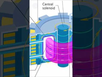 Термоядерний реактор SPARK | SPARK fusion reactor
