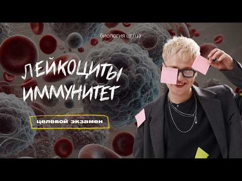 ЛЕЙКОЦИТЫ. ВИДЫ ИММУНИТЕТА | Целевой экзамен