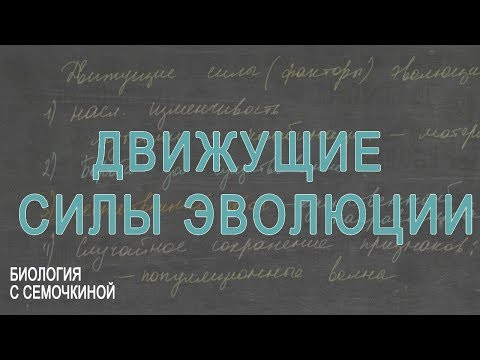 Движущие силы эволюции