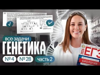 ВСЕ ЗАДАЧИ ПО ГЕНЕТИКЕ ЗА 4 ЧАСА | Часть 2 | ЕГЭ по биологии 2026 | Вероника Вавилова