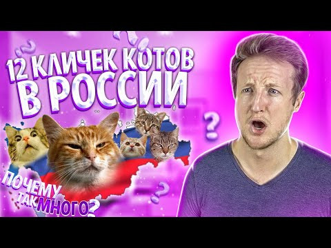 Иностранец Объясняет Все 12 Кличек Русских Кошек