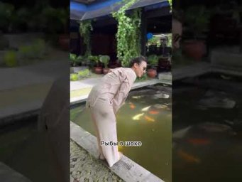 Она хотела быть русалкой 
