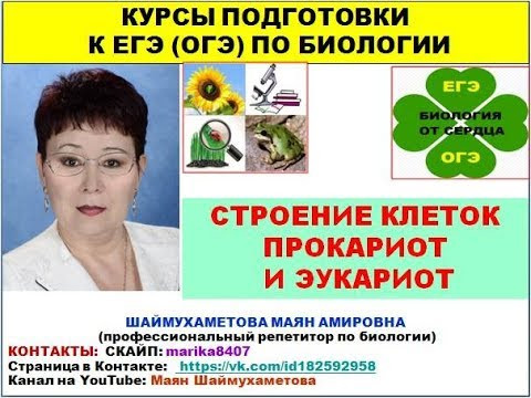 ПРОКАРИОТЫ И ЭУКАРИОТЫ. ПРОКАРИОТЫ И ЭУКАРИОТЫ.