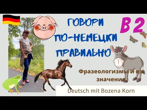 Говори по-немецки правильно. Фразеологизмы немецкого языка Говори по-немецки правильно. Фразеологизмы немецкого языка