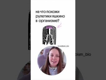 а вы любите рулетики яшкино?