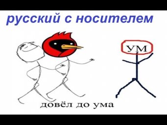 № 823 ДОВЕСТИ ДО УМА / идиомы русского языка