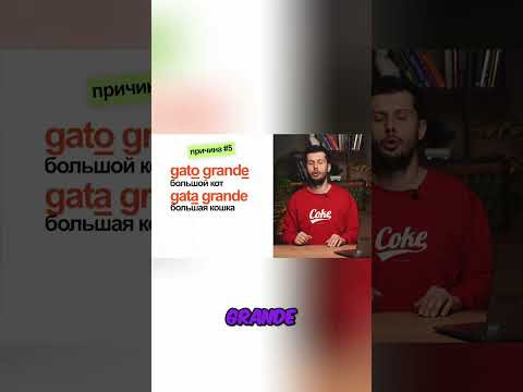 Испанские прилагательные: исключения и общее правило для вас! #shorts Испанские прилагательные: исключения и общее правило для вас! #shorts