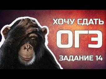 ОГЭ Биология Разбор Задания 14 Рохлов 2019 Обезьяна