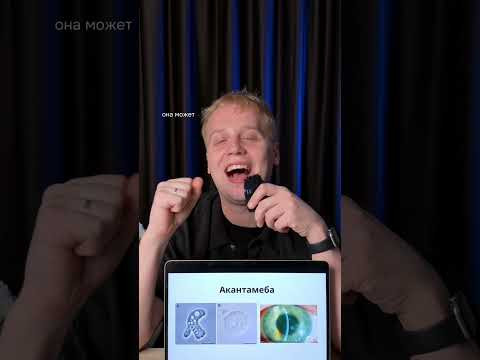 Виды амёб | тгк: Химбио с Яном