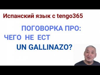 Испанский язык. Чего не ест UN GALLINAZO , и что это такое?