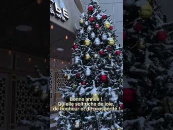 Как поздравить с Новым годом на французском языке?