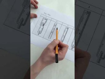 Кровеносная система хордовых животных | Биология с Яном