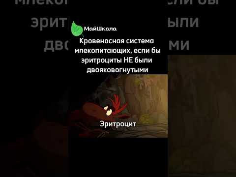 Забирай бесплатные материалы по ссылке в шапке профиля