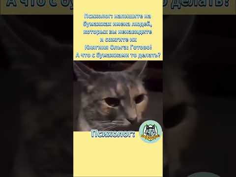 А как бы вы отреагировали на такой ответ?) #егэ #юмор #история #школа #историяроссии