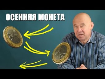 Осенняя монета