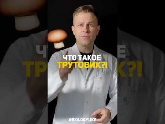 Что такое трутовик?! 