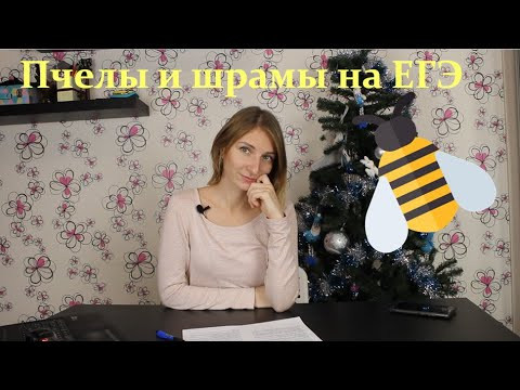 Разбор РЕАЛЬНЫХ заданий ЕГЭ 2018. Как образуются шрамы и состав пчелиной семьи.