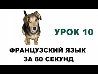 французский язык за 60 секунд, урок 10, глаголы первой группы, наречия