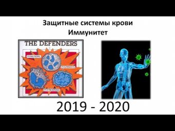 13. Иммунитет (8 класс) - биология, подготовка к ЕГЭ и ОГЭ 2020