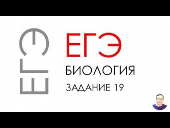 ЕГЭ биология 2020 Задание 19 Рохлов разбор