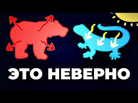 Теплокровные или холоднокровные? [Минутка Земли]