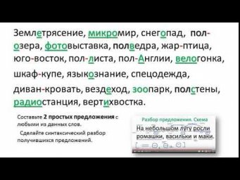 6 класс РЯ Проверка ДЗ. 5-я неделя
