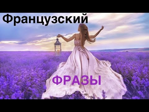 ФРАНЦУЗСКИЙ ЯЗЫК - УРОК 3 - ВАЖНЫЕ ФРАЗЫ ТОП-20 ФРАНЦУЗСКИЙ ЯЗЫК ДЛЯ НАЧИНАЮЩИХ С НУЛЯ