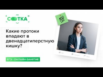 Какие протоки впадают в двенадцатиперстную кишку? | БИОЛОГИЯ ЕГЭ | СОТКА