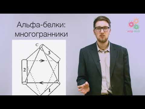 Биологические макромолекулы. Трехмерная организация и функции белков (без музыки) Биологические макромолекулы. Трехмерная организация и функции белков (без музыки)